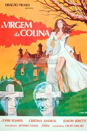Постер к фильму Девушка с долины (1977)