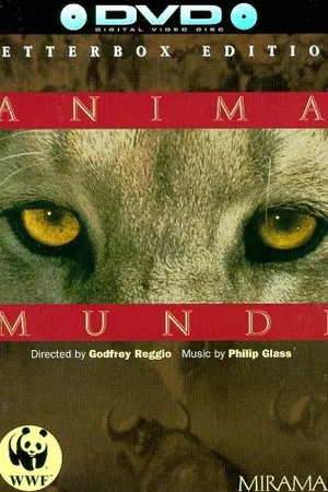 Постер к фильму Душа мира (1991)