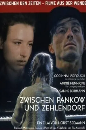 Постер к фильму Между Панковом и Целендорфом (1991)