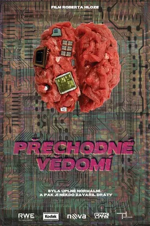 Постер к фильму Prechodne Vedomi (2014)