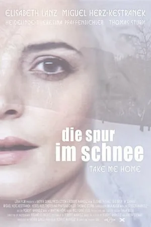 Постер к фильму Die Spur im Schnee (2005)