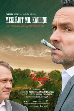 Постер к фильму В поисках мистера Каулиня (2019)