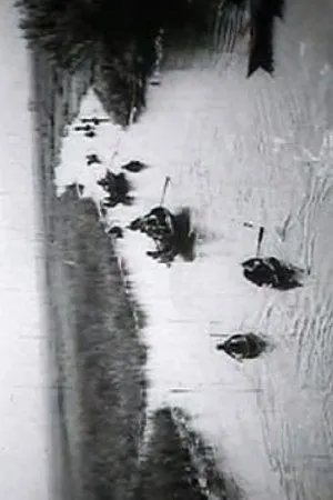Постер к фильму Ljudi sa Neretve (1966)