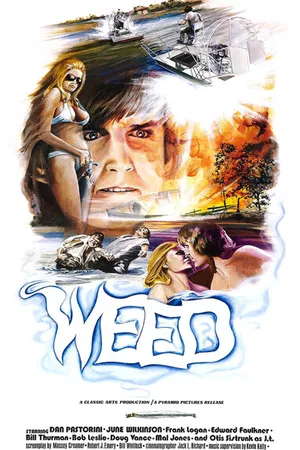 Постер к фильму The Florida Connection (1975)