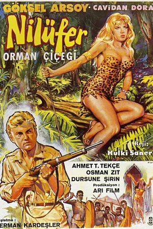 Постер к фильму Nilüfer orman çiçegi (1960)