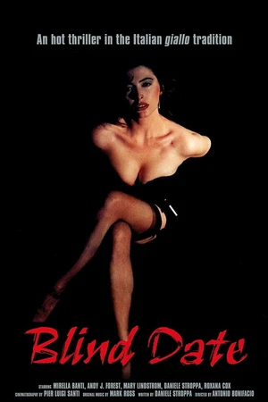 Постер к фильму Черная встреча (1990)