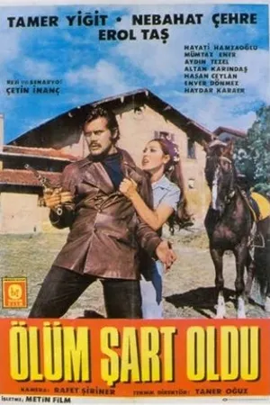 Постер к фильму У смерти были условия (1969)