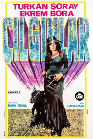 Постер к фильму Çilginlar (1974)