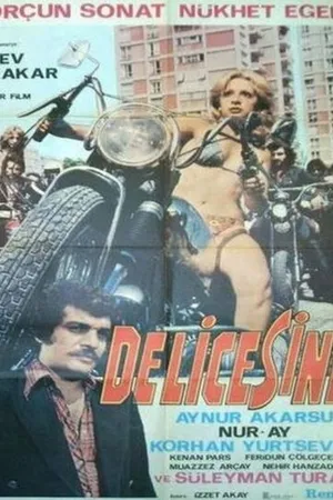 Постер к фильму Delicesine (1975)