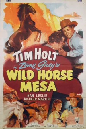 Постер к фильму Wild Horse Mesa (1947)