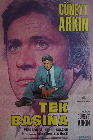 Постер к фильму В одиночку (1976)