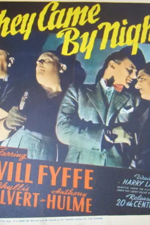 Постер к фильму Они пришли в ночи (1940)