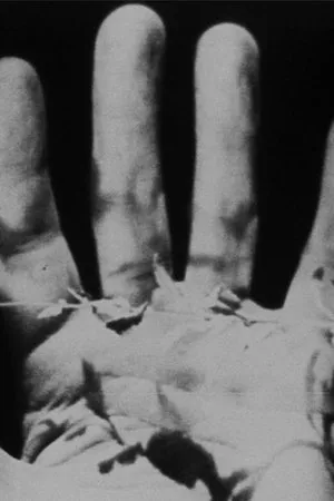 Постер к фильму Расшифровка (1988)