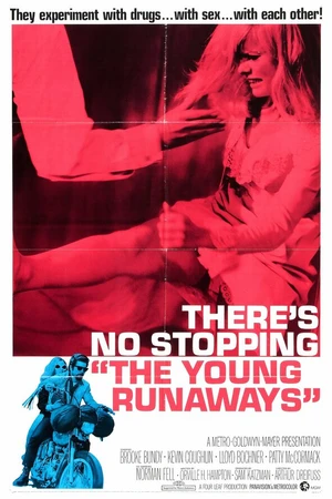Постер к фильму The Young Runaways (1968)