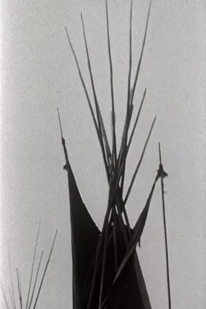 Постер к фильму A Pinto for the Prince (1979)
