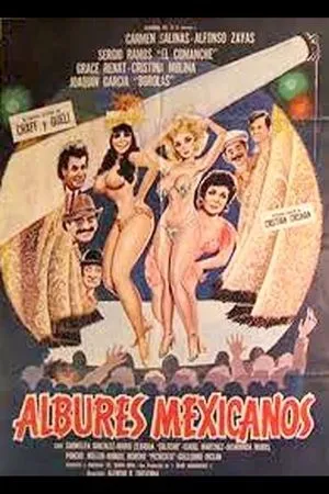 Постер к фильму Albures mexicanos (1985)