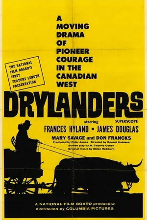Постер к фильму Покорители прерий (1962)