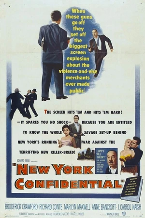 Постер к фильму New York Confidential (1955)