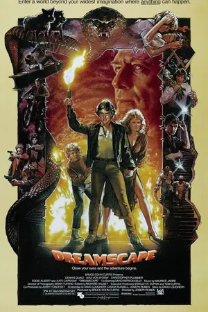 Постер к фильму Видение (1984)
