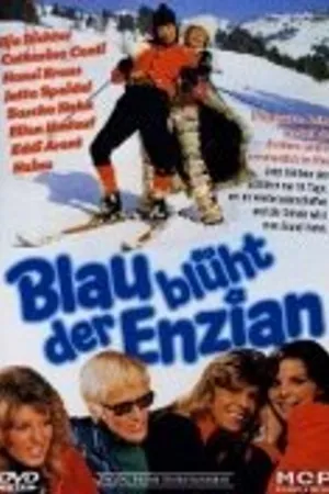 Постер к фильму Blau blüht der Enzian (1973)