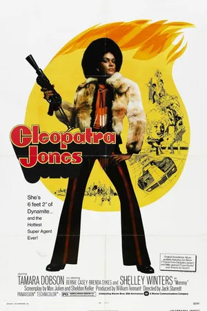Постер к фильму Клеопатра Джонс (1973)