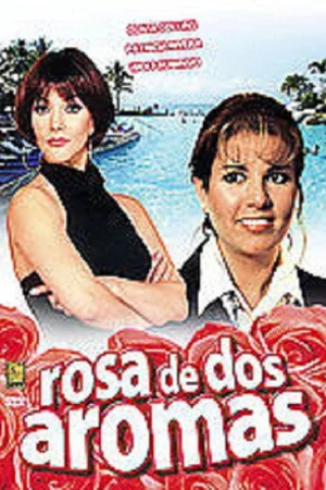 Постер к фильму Rosa de dos aromas (1989)