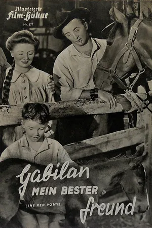Постер к фильму Рыжий пони (1949)