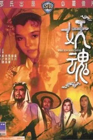 Постер к фильму Чародейка (1983)