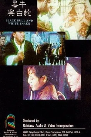 Постер к фильму Hei nu yu bai se (1969)