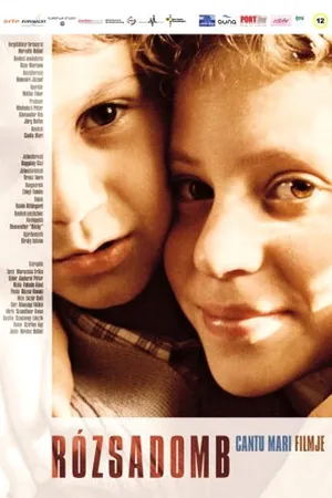 Постер к фильму Холм роз (2004)
