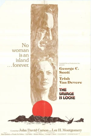 Постер к фильму Дикарь на свободе (1974)