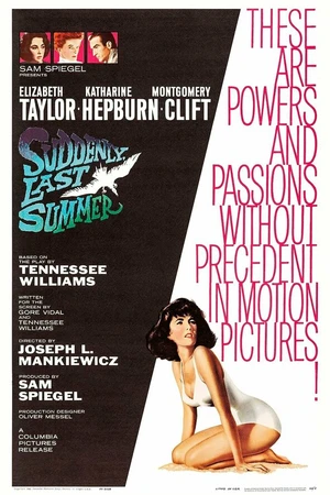 Постер к фильму Внезапно, прошлым летом (1960)