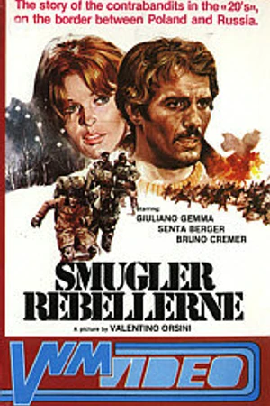 Постер к фильму Любовник большой медведицы (1971)