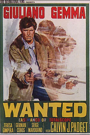 Постер к фильму В розыске (1967)