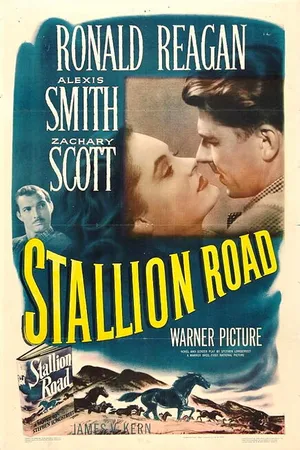 Постер к фильму Конный путь (1947)