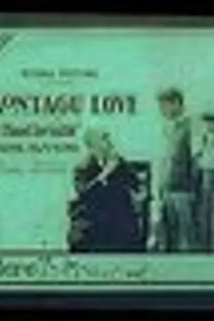 Постер к фильму The Hand Invisible (1919)
