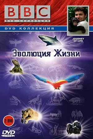 Постер к сериалу BBC: Эволюция жизни (2005)