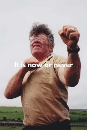 Постер к фильму It's Now or Never (1996)