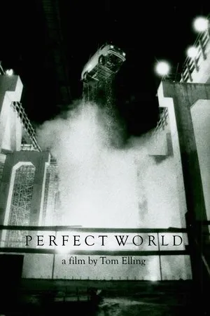 Постер к фильму Perfect World (1990)