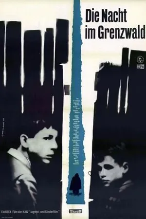 Постер к фильму Ночь в пограничном лесу (1968)