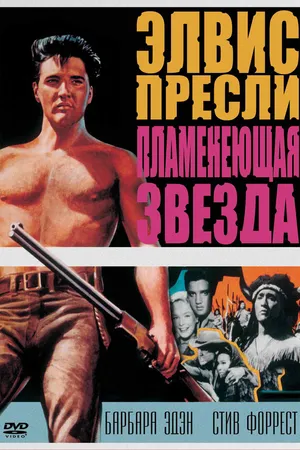 Постер к фильму Пламенеющая звезда (1960)