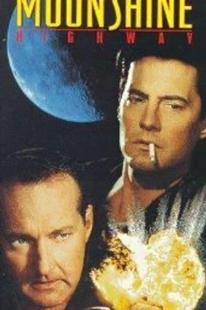 Постер к фильму Шоссе «Лунный свет» (1996)