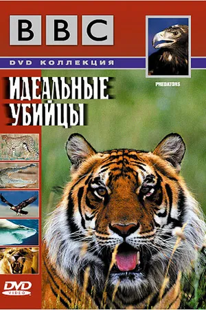 Постер к сериалу BBC: Идеальные убийцы (2000)