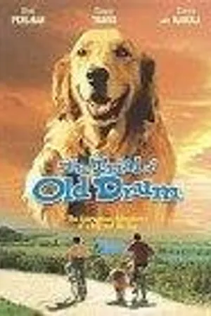 Постер к фильму Дело старины Драма (2000)
