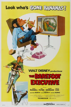 Постер к фильму Босой руководитель (1971)