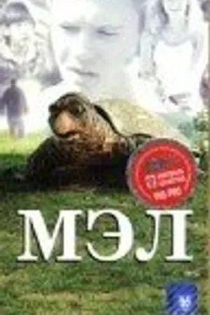 Постер к фильму Мэл (1998)