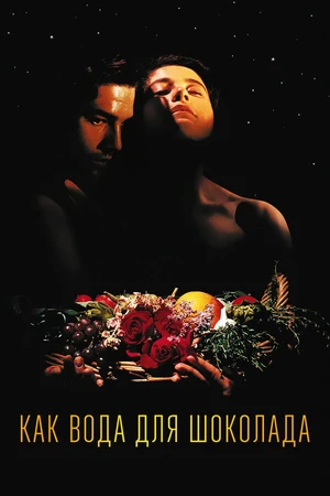 Постер к фильму Как вода для шоколада (1991)