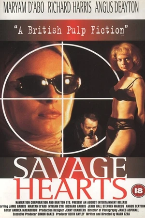 Постер к фильму Дикие сердца (1995)