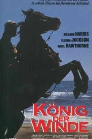 Постер к фильму Быстрее ветра (1990)
