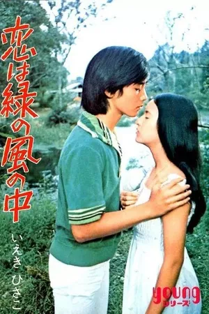 Постер к фильму Любовь в зелёной долине (1974)